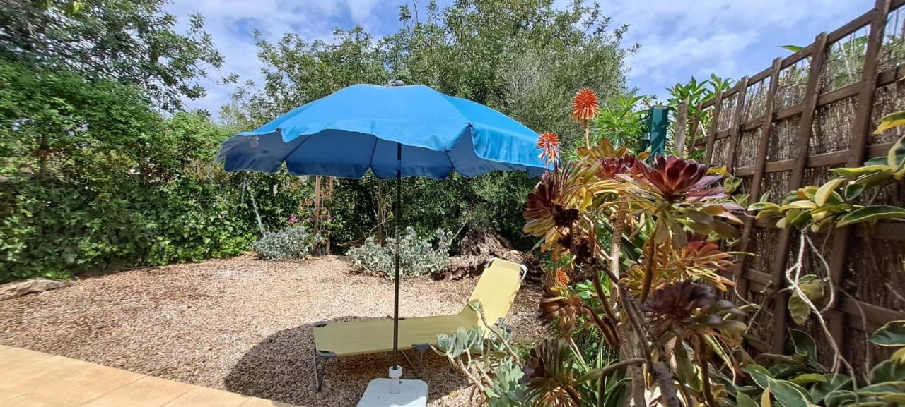 Finca Gamundi L'Ampolla Dış mekan fotoğraf