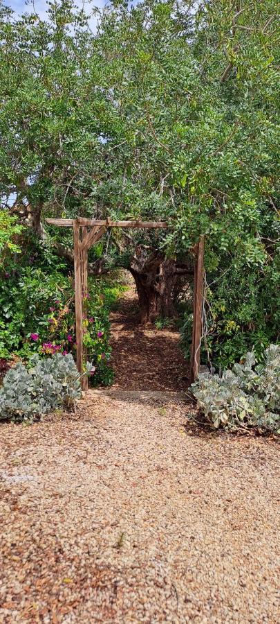Finca Gamundi L'Ampolla Dış mekan fotoğraf