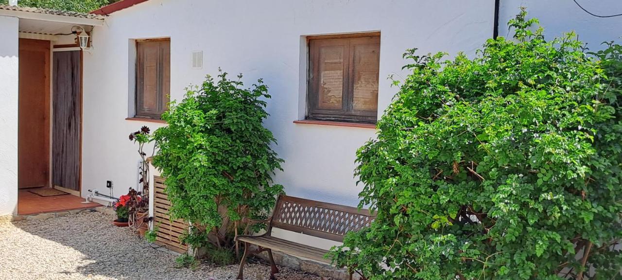 Finca Gamundi L'Ampolla Dış mekan fotoğraf