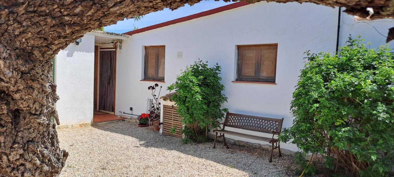 Finca Gamundi L'Ampolla Dış mekan fotoğraf